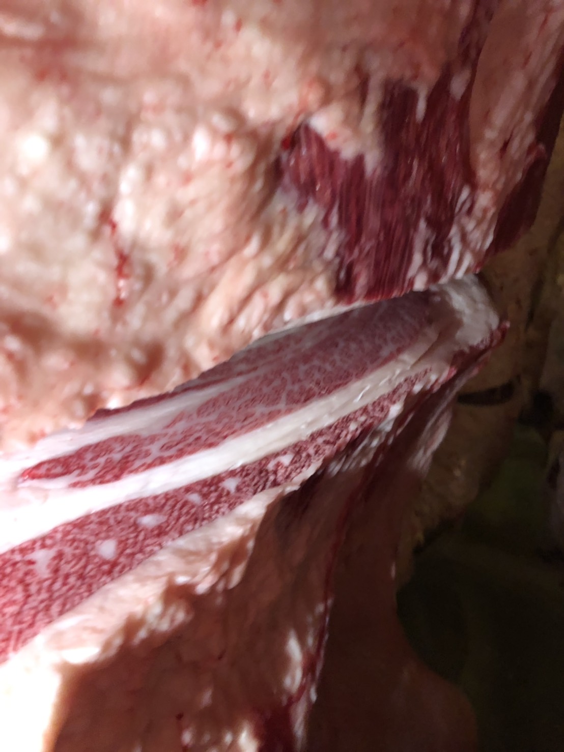 S__94248963