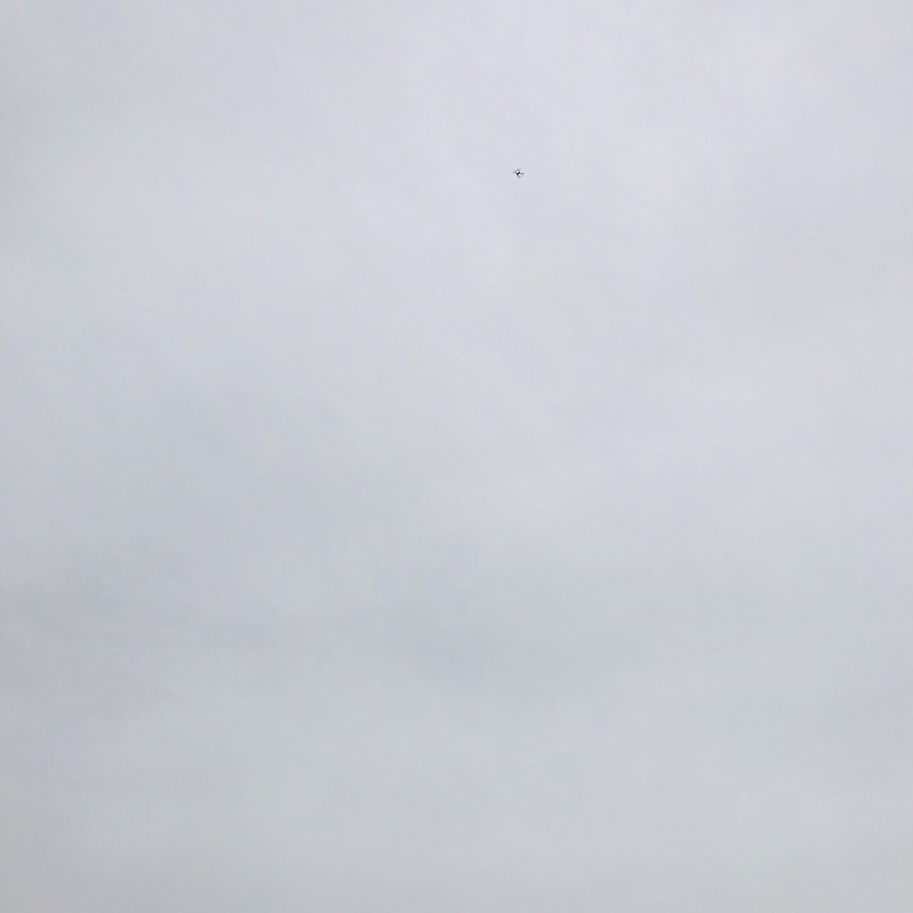 S__6807566
