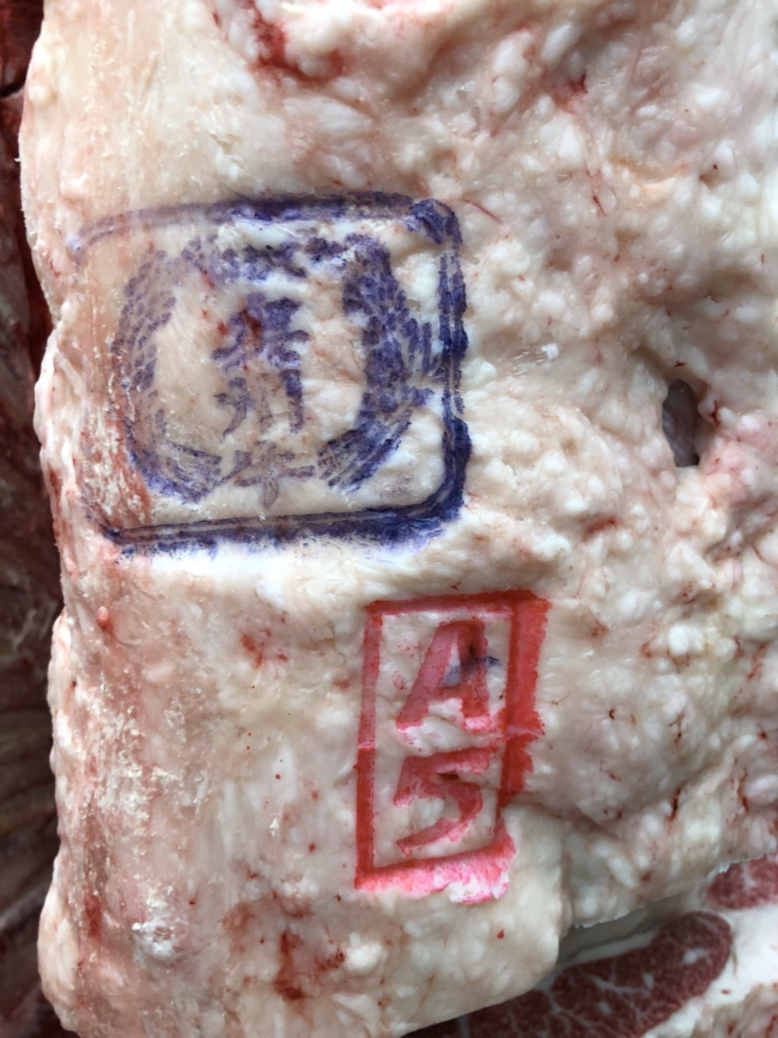 S__3940355