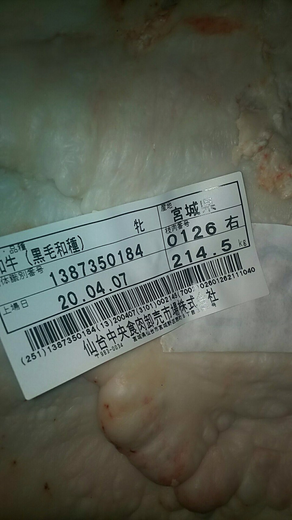 S__9764876
