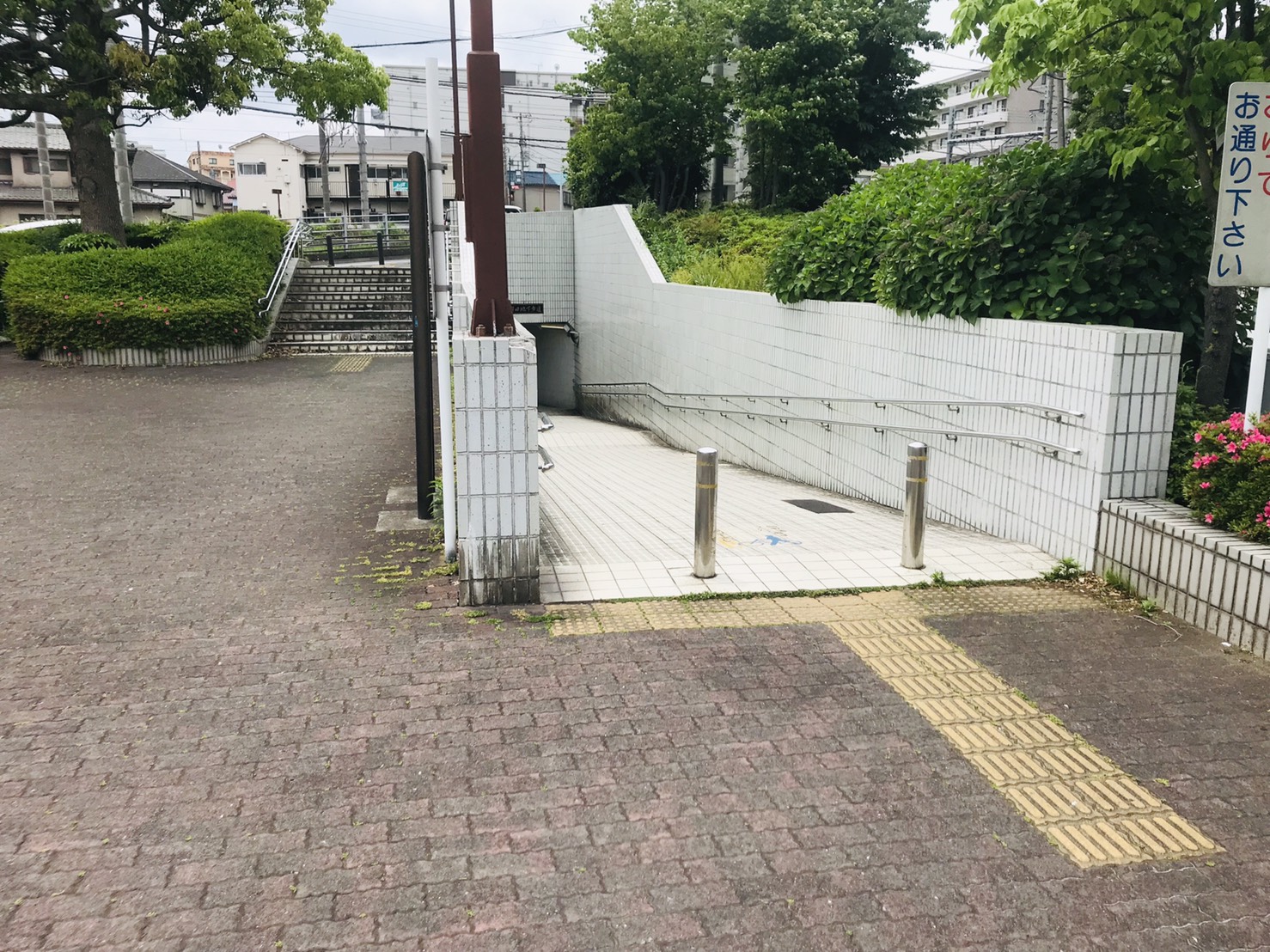 S__10059793