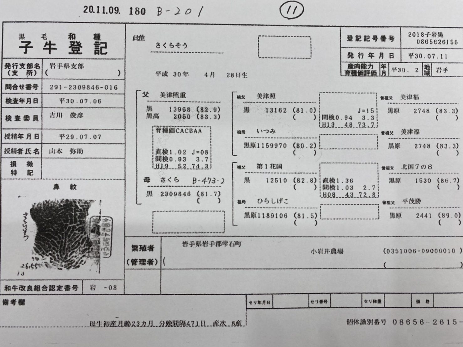 S__11116555