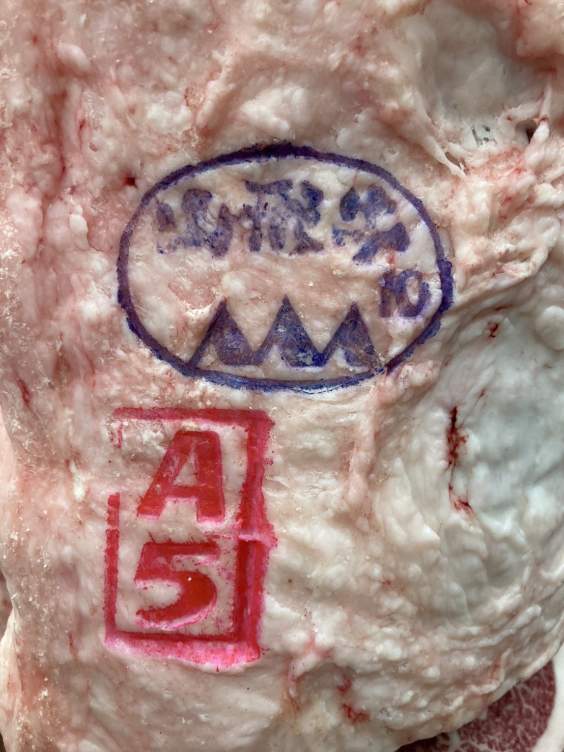 S__16359429